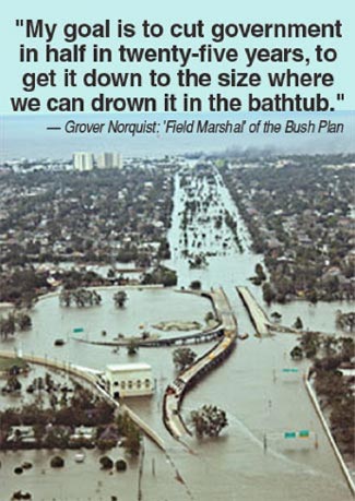 My goal is to cut government in half in twenty five years to get it down to the size where we can drown it in a bathtub - Grover Norquist