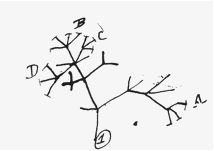 Figure 1: Early tree of life diagram. (Barrett et al. 177)