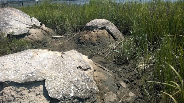 Figure 10: Beverly Buchanan, Marsh Ruins today, concrete and tabby, 1981.