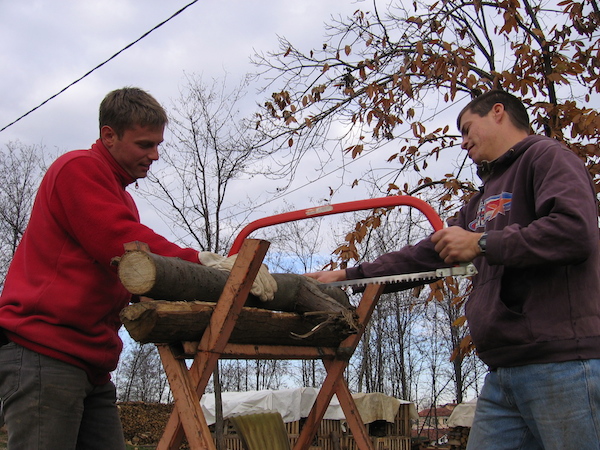 Fig 2: Cenacolo members at
work: an old and a new guy cutting wood. Note the
entanglement of humans and non-humans (wood, saw, sawhorse, technology of
cutting, place, time, climate, nature, sky, air, etc.) that produces a material
change (rehabilitation) in their lives by entanglements of matter (bodies,
wood, tools) and meaning (friendship, engagement, communion, self-giving).